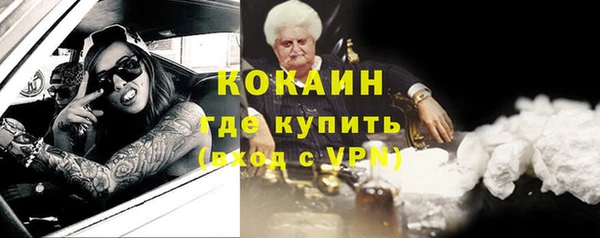 трава Корсаков