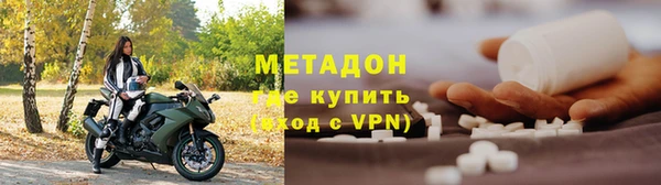 трава Корсаков