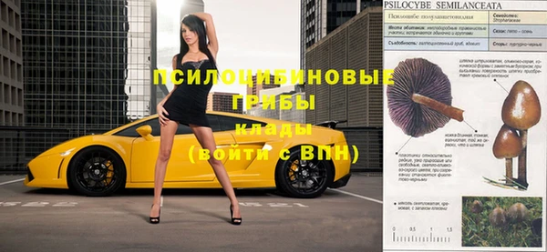 трава Корсаков