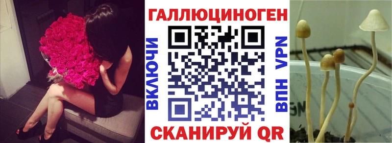 Купить  Подольск  Псилоцибиновые грибы MAGIC MUSHROOMS 